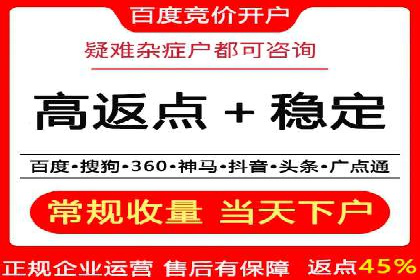 案例研究：信息流广告投放优化